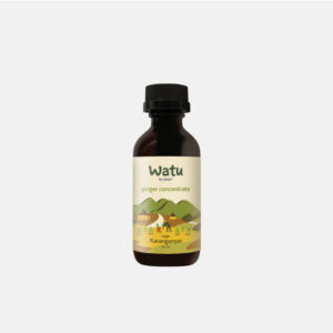 Ginger Concentrate