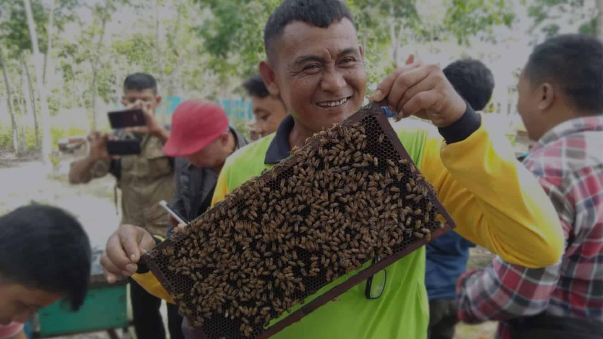 Bee keeper